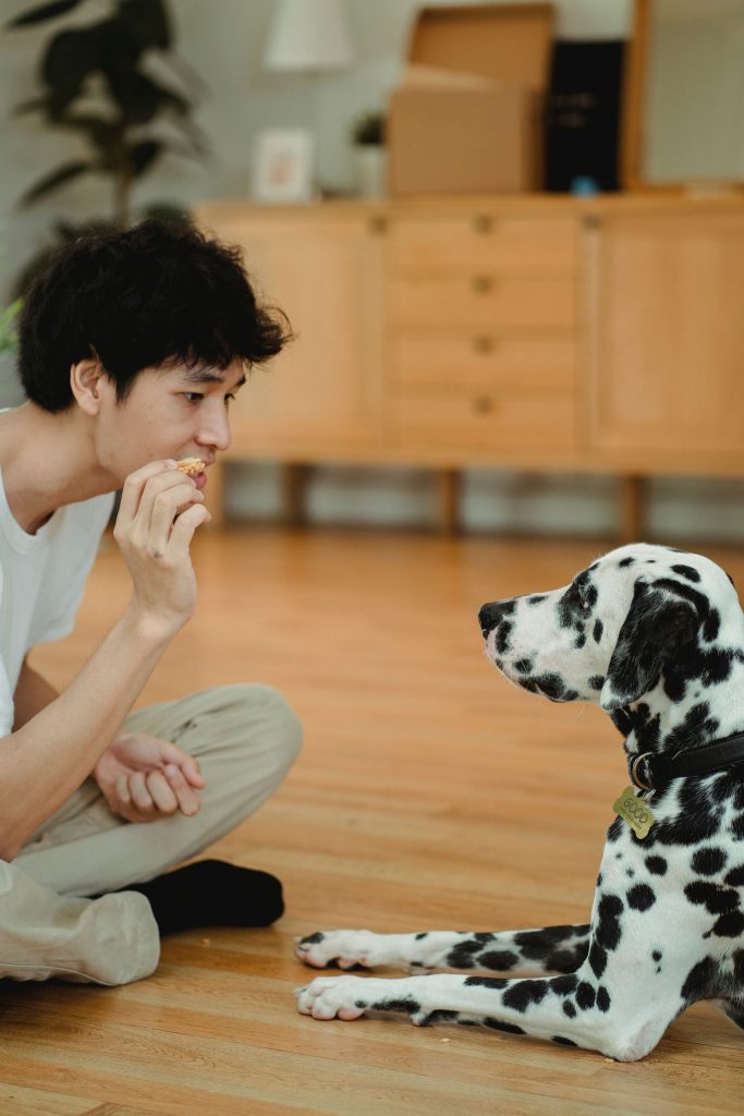 Person sitting on a wooden floor holding food while a Dalmatian lies nearby