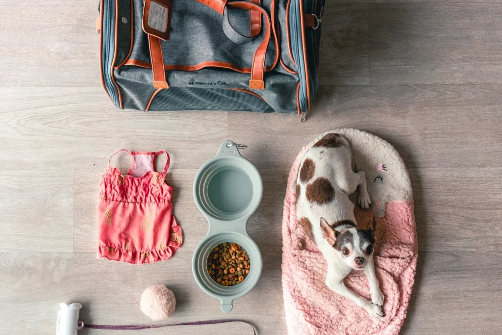 Flat lay of a small dog lying on a blanket beside a travel bag, collapsible bowls with kibble, leash, harness and clothes